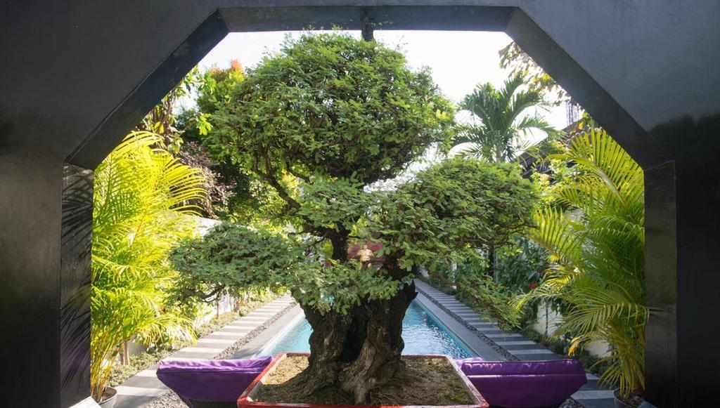 Bonsai Villas Seminyak Quarto foto