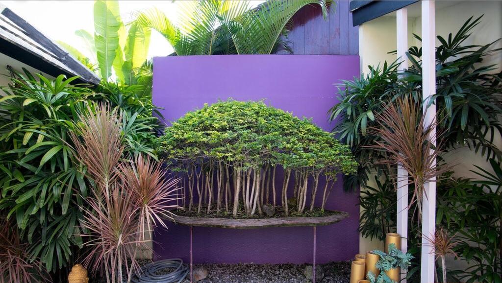 Bonsai Villas Seminyak Quarto foto